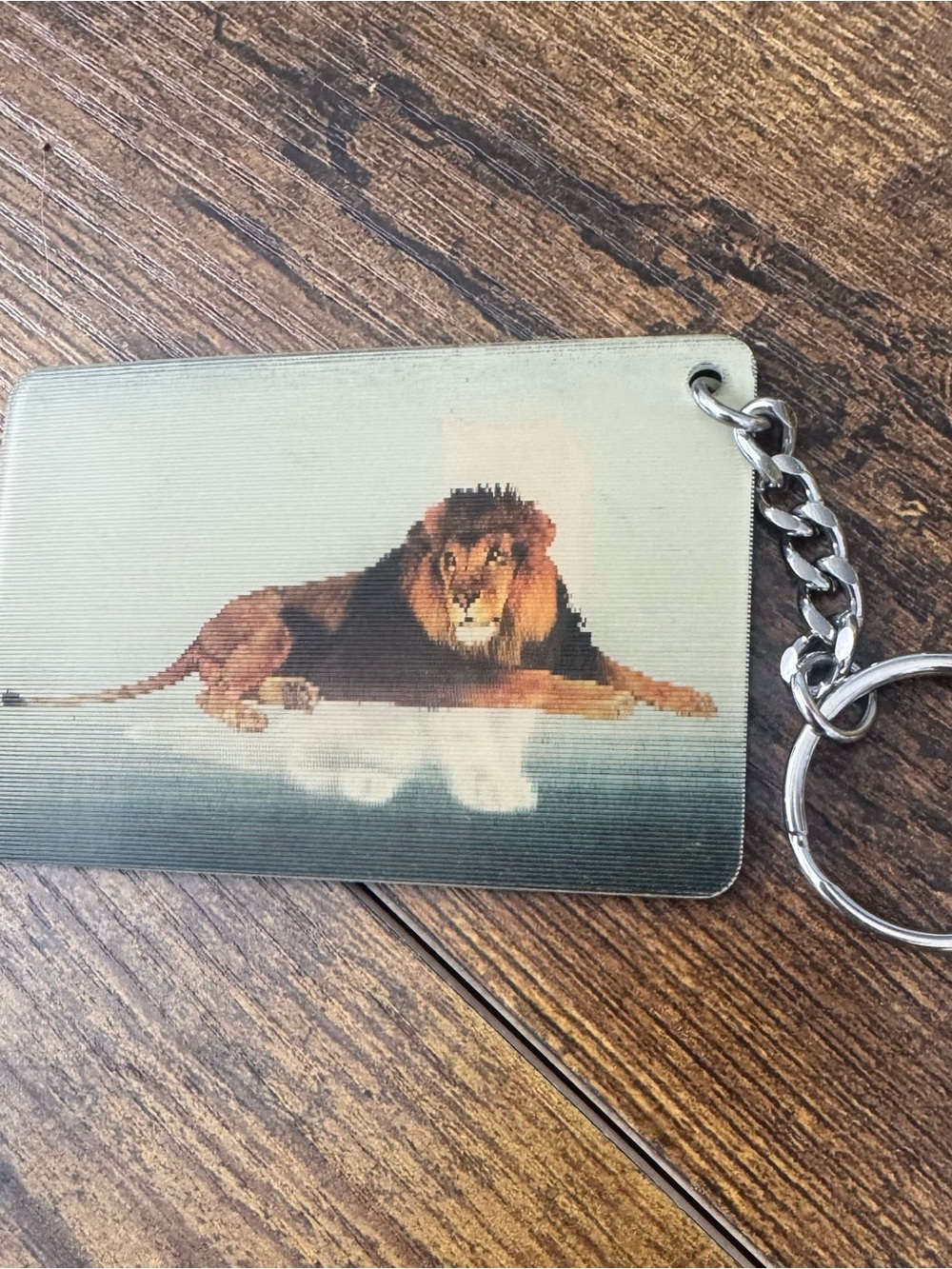MGM Grand Detroit Casino Lion & Kitten Lenticular 3D Flip Image Card Keychain